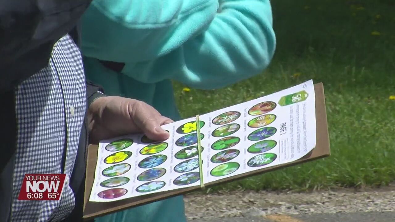Wildflower walk brings people out to enjoy the parks on Mother's Day